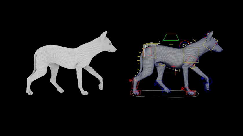 Wolf Rig